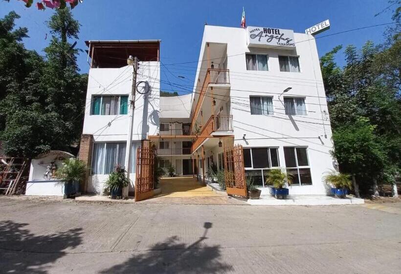 هتل کپسول ángelus Boutique