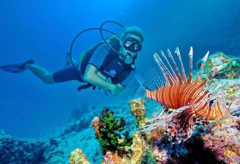 هتل La Isla Tropica