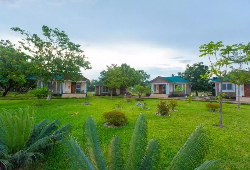 ホテル Ngonga Beach Resort