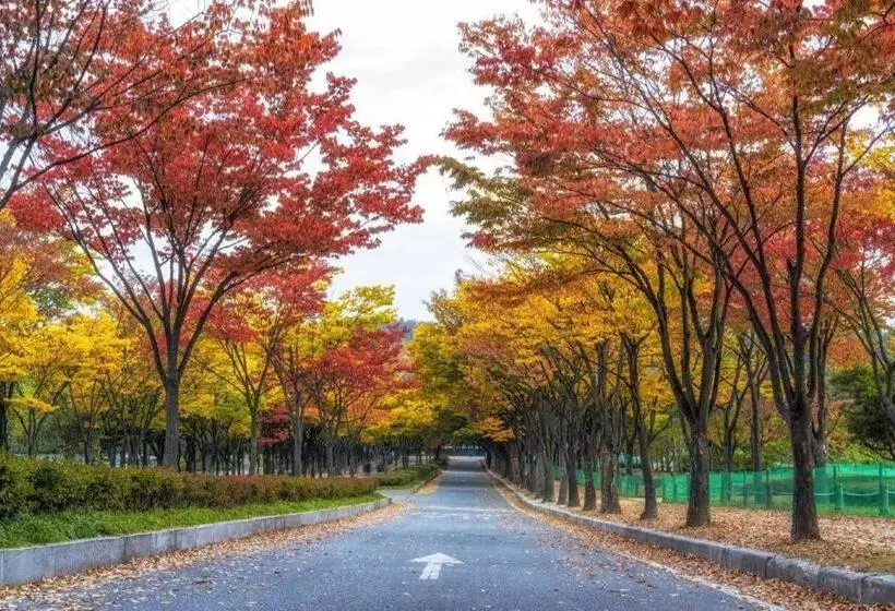 モーテル Bupyeong Hotel Duruwa