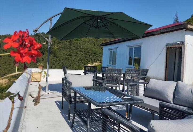 بنسيون Mittoli Life