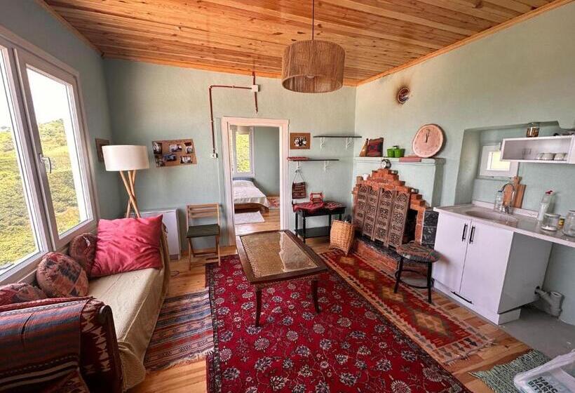 بنسيون Mittoli Life