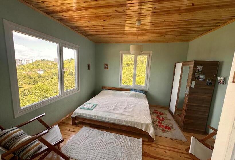 بنسيون Mittoli Life