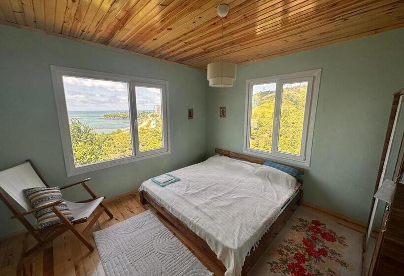 بنسيون Mittoli Life