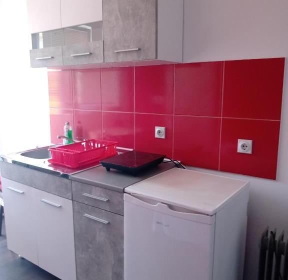 پانسیون Vila Premier Sokobanja