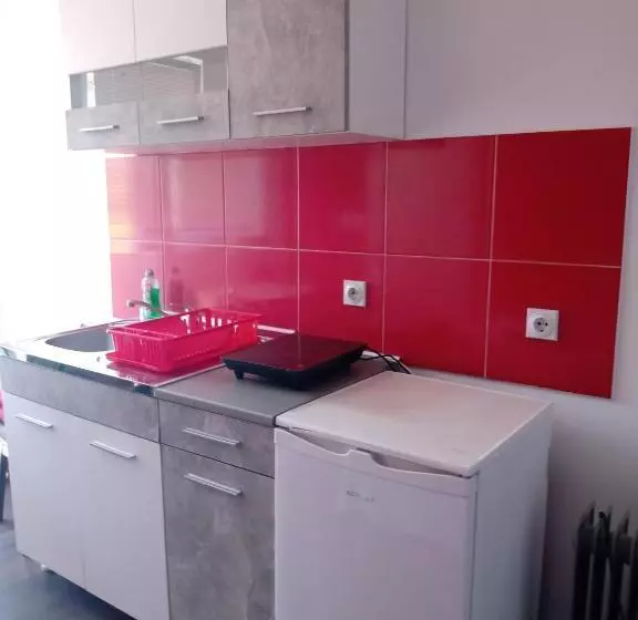 پانسیون Vila Premier Sokobanja