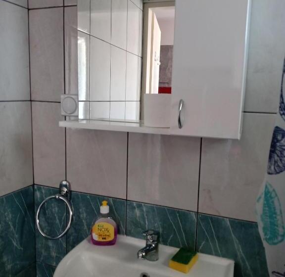 پانسیون Vila Premier Sokobanja