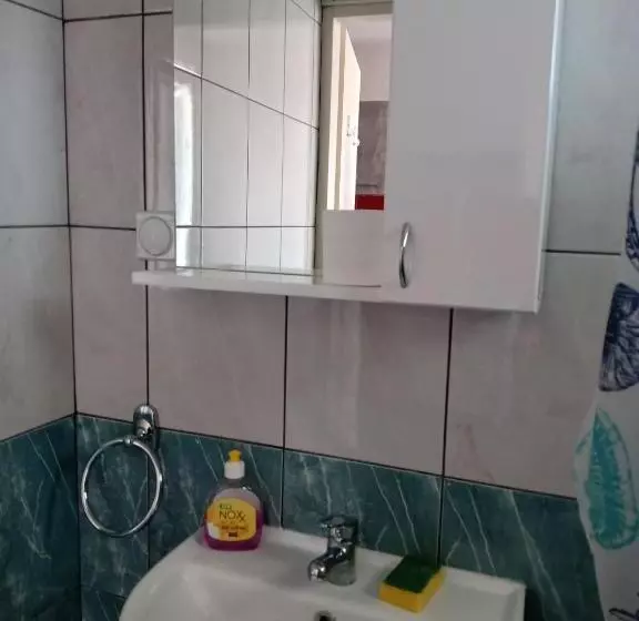 پانسیون Vila Premier Sokobanja