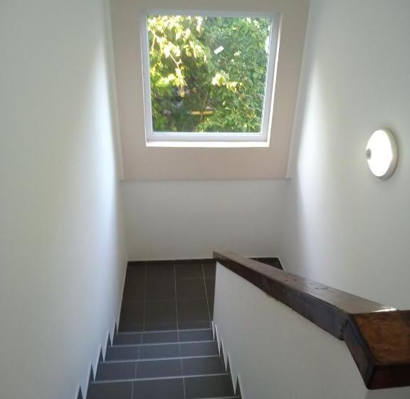 پانسیون Vila Premier Sokobanja