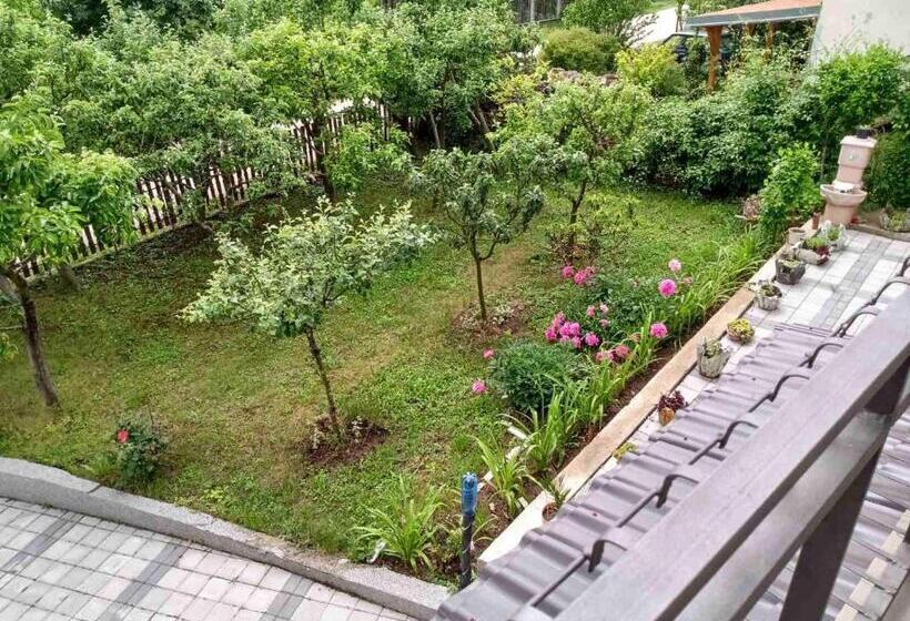 پانسیون Vila Premier Sokobanja