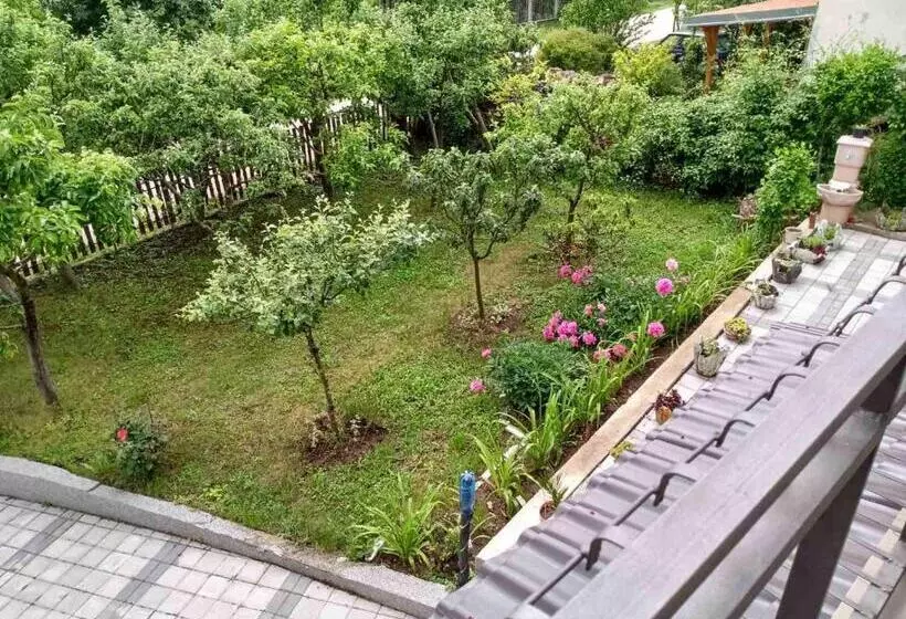 پانسیون Vila Premier Sokobanja