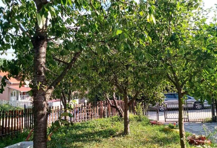 پانسیون Vila Premier Sokobanja