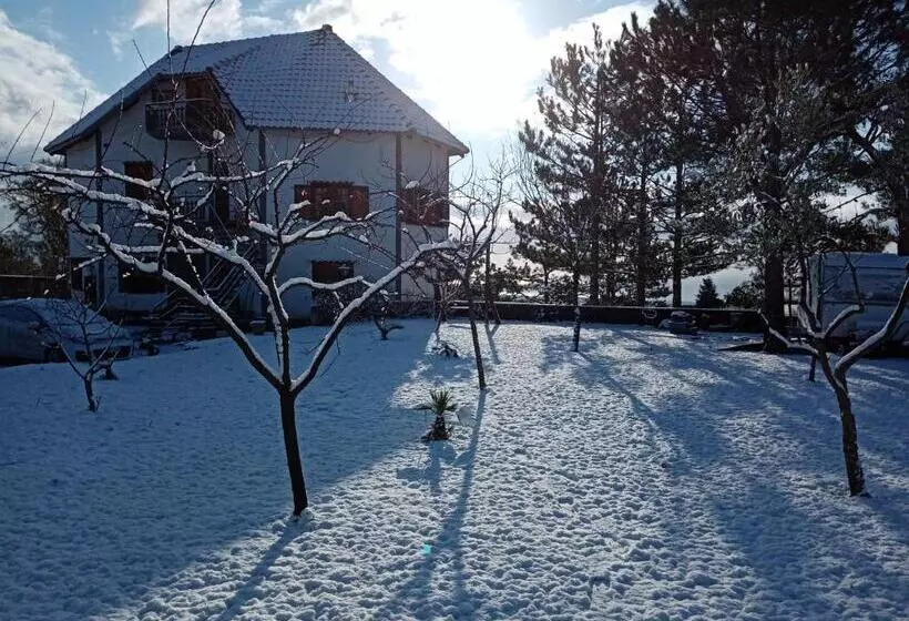 ペンション Villa Joele