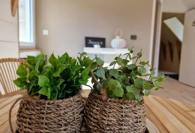 Aamiaismajoitus (B&B) La Puy Mary