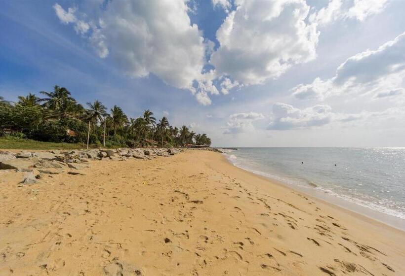 فندق Araliya Blue Beach View