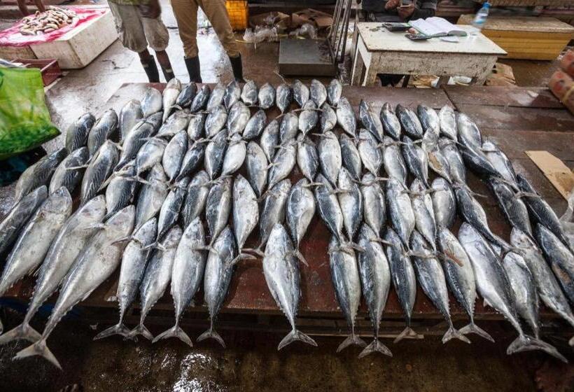 فندق Araliya Blue Beach View