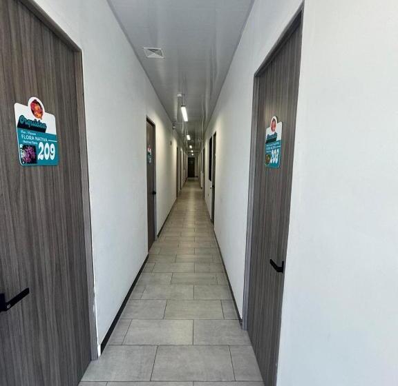 Otel Kasa 5ta Frente Al Estadio