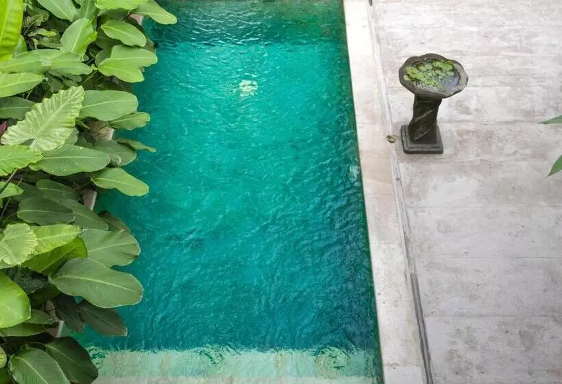 Majatalo Villa Iva Canggu Bali