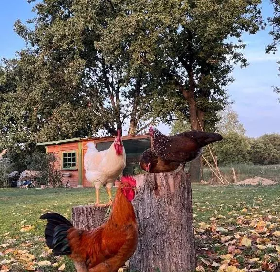 Majatalo Camera Tripla Il Picchio Verde