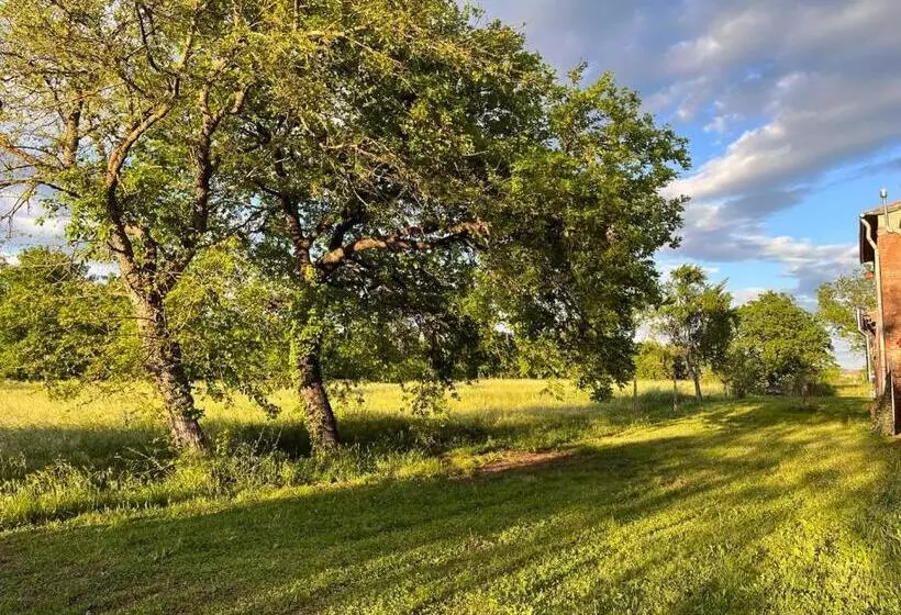Majatalo Camera Tripla Il Picchio Verde
