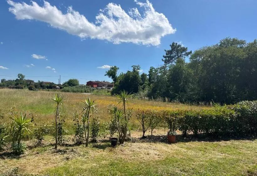 Majatalo Camera Tripla Il Picchio Verde