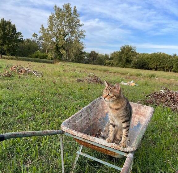 פנסיון Camera Tripla Il Picchio Verde