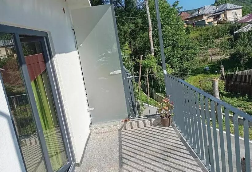 ペンション Casa Stejaru