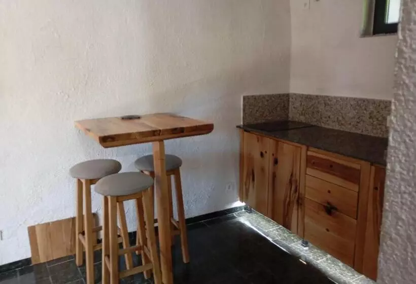 ペンション Casa Stejaru