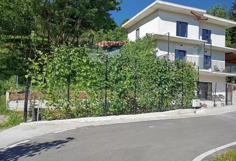 ペンション Casa Stejaru