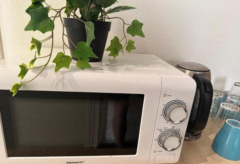 Pensión Oslo Center President Suites