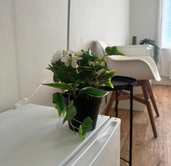 Pensión Oslo Center President Suites