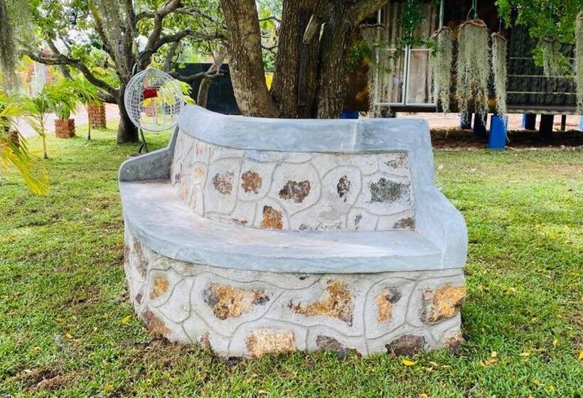 ペンション Suwa Arana Family Resort