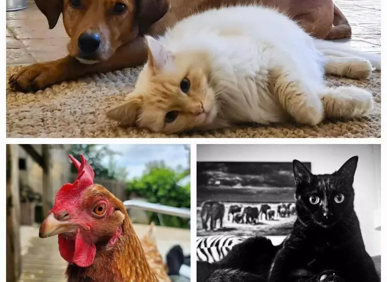 ベッドアンドブレックファースト Le Petit Pré