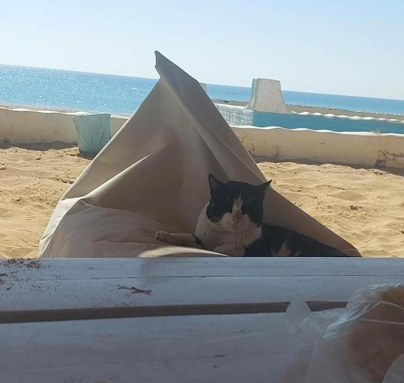 هتل Blue Point Kitesurfing Cr