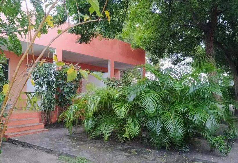 ホテル Hospedagem Dos Mundos