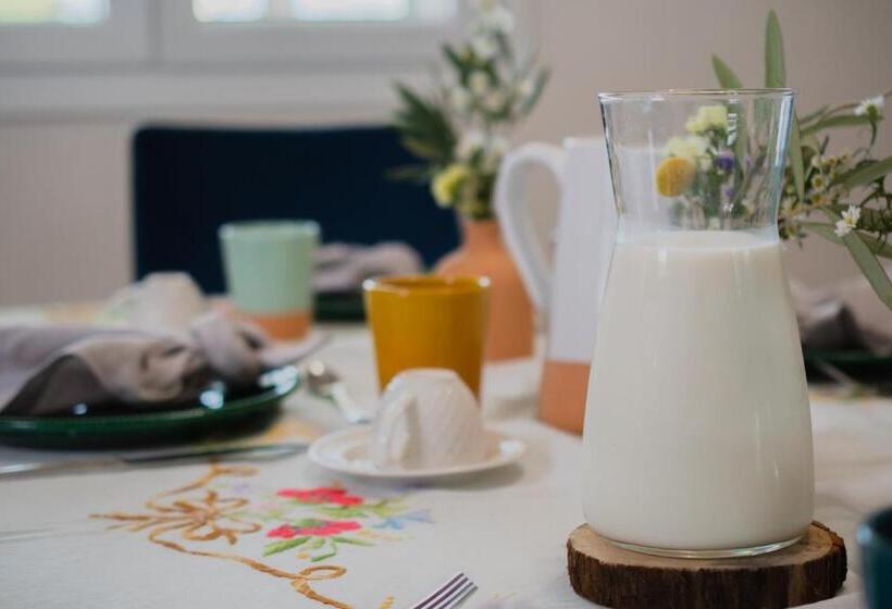 ホテル Qui Mediterraneo