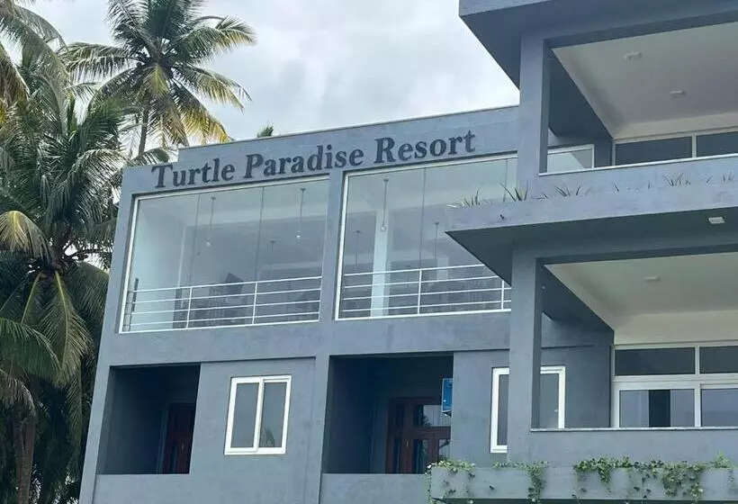 ホテル Turtle Paradise Resort