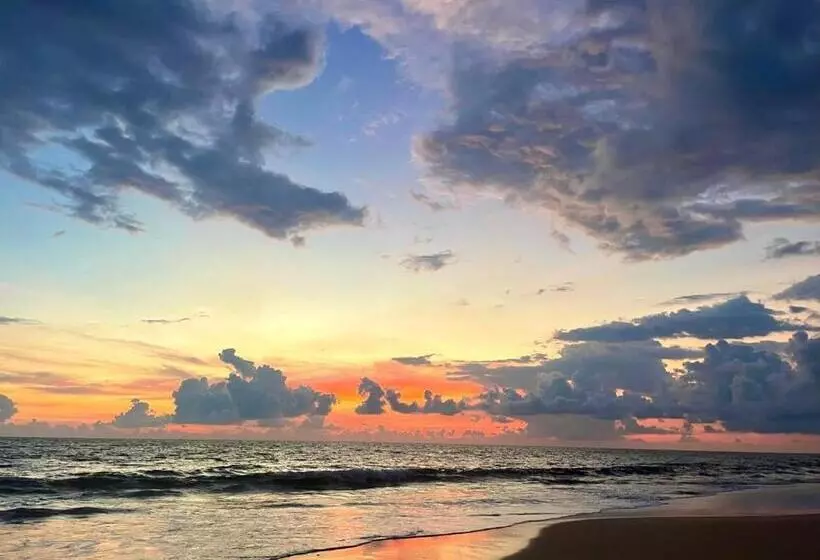 ホテル Turtle Paradise Resort
