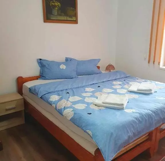 Pension Casa Maksai