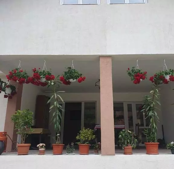 Pension Casa Maksai