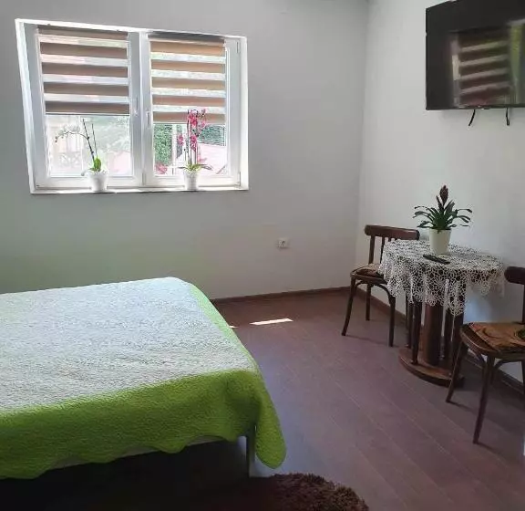 Pension Casa Maksai