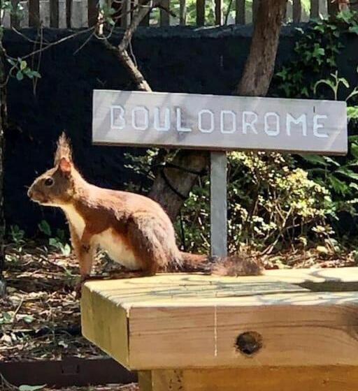 Пансион Chambre Privative, Cap Ferret   Piscine Chauffée   Villa Sylhengui