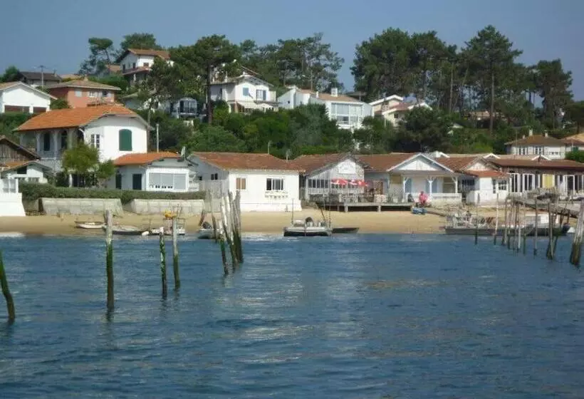 ペンション Chambre Privative, Cap Ferret Piscine Chauffée Villa Sylhengui