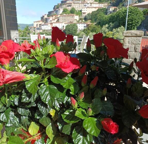 פנסיון Da Arturo E Maruca Suites Con 2 Camere