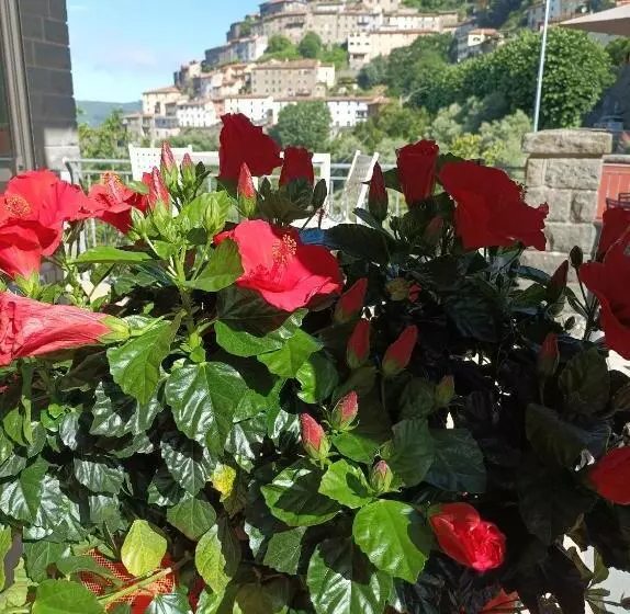 Majatalo Da Arturo E Maruca Suites Con 2 Camere