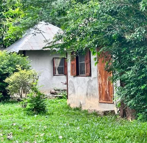 Majatalo Giant Guesthouse