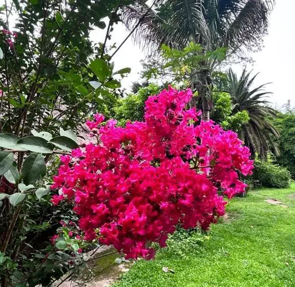 Majatalo Giant Guesthouse