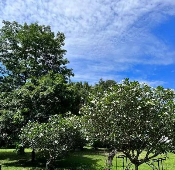 Majatalo Giant Guesthouse