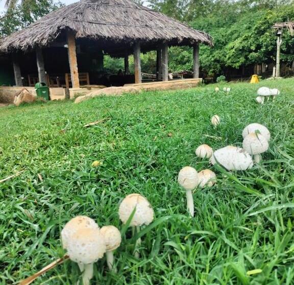 Pensionat Hidden Place In Hampi