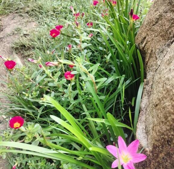 Pensionat Hidden Place In Hampi